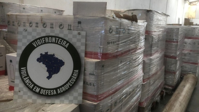 Ibraoliva apoia ações de fiscalização realizadas pelo Ministério da Agricultura
