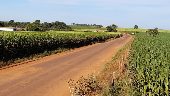 IFAG estima queda na produtividade de 38% no milho safrinha em Goiás