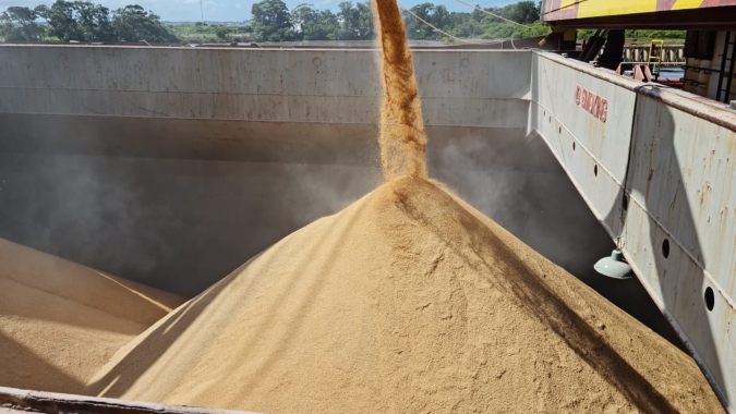 Abiarroz: Pandemia eleva em mais de 170% custo do transporte marítimo de cargas