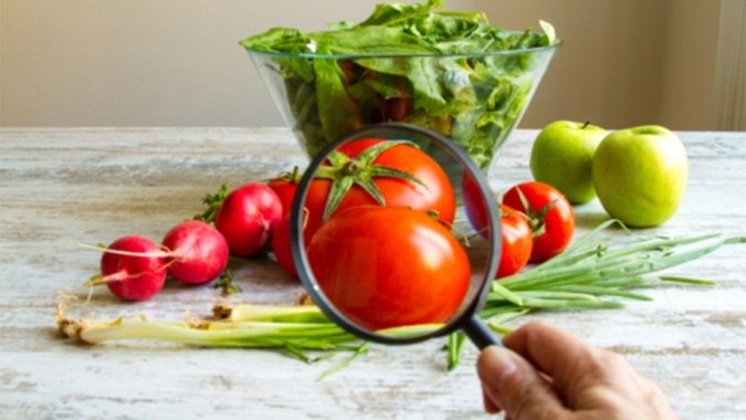 Tomate/Cepea: Rentabilidade é positiva pelo 3° mês consecutivo