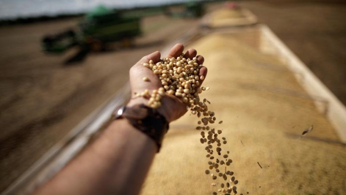 DATAGRO prevê produção de 142,7 mi de t de soja na safra brasileira de 2021/22