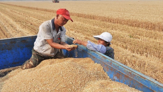 China investe em aumento na produção de grãos frente à demanda intensa e preços recordes no país