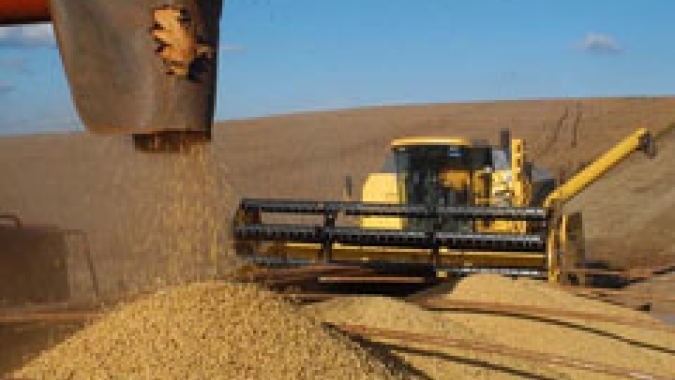 Produção de grãos atinge recorde na safra 2021/22 e chega a 271,2 milhões de toneladas