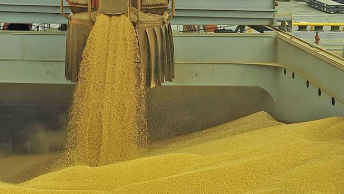 USDA: Embarques semanais de soja dos EUA ficam abaixo das expectativas do mercado