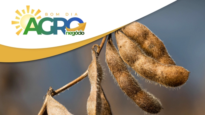 Confira as primeiras notícias da manhã desta 4ª feira (16)
