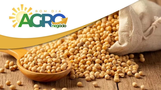 Confira as principais notícias desta manhã de 5ª feira