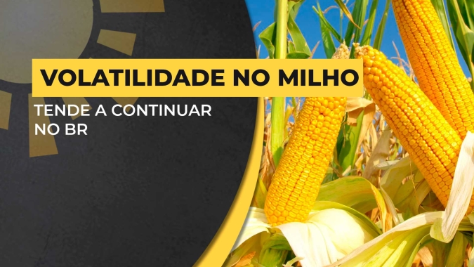 Volatilidade deve continuar para o milho, mas podendo dar oportunidade ao produtor do BR