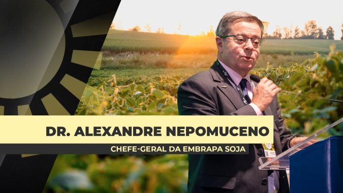 Produção de soja mudou o rumo do desenvolvimento do Brasil e cadeia hoje responde por cerca de 7% do PIB do  país