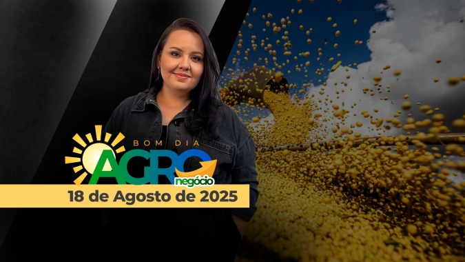 Mercados de soja, milho, demanda e preços na China e o conflito Rússia x Ucrânia
