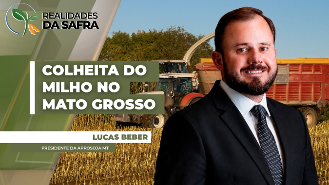 Colheita do milho começa a ganhar ritmo no Mato Grosso com perspectiva de altas produtividades