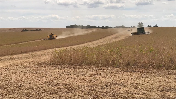Safra de grãos em 2020 é estimada pela DATAGRO em recorde de 255,01 mi t