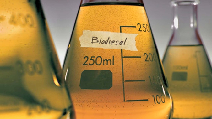 O papel dos biocombustíveis na agricultura brasileira