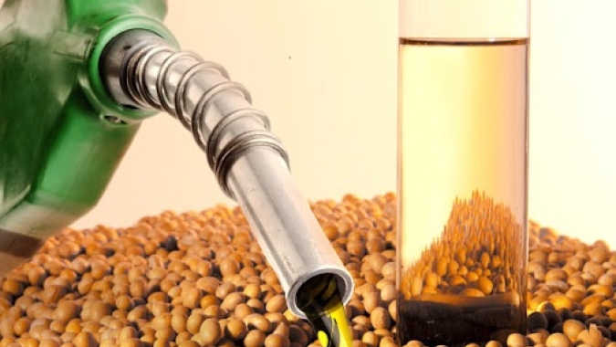 CNA defende prorrogação do prazo para mudanças nos leilões de biodiesel