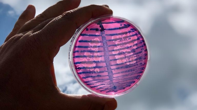 Brasil lidera a ascensão dos bioinsumos em um modelo de agricultura mais sustentável