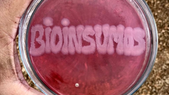 Governo de Goiás abre consulta pública sobre atualização da legislação de bioinsumos