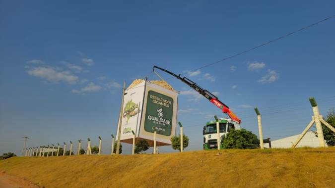 Boa Safra registra prejuízo no 4º tri em ambiente de menor margem no agro do Brasil