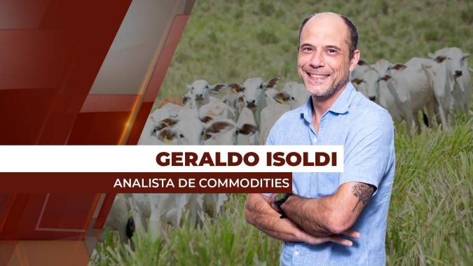 Apesar de altas pequenas para a arroba bovina neste início de mês, movimento é sólido, diz analista
