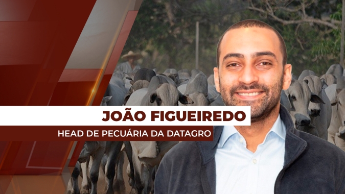 Mercado do boi: questionamento para 2025 é como os preços responderão à demanda interna e externa, segundo especialista