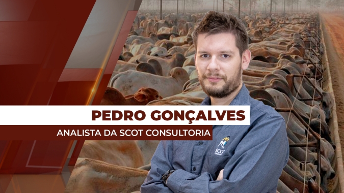 Pecuarista não quer vender, frigorífico não quer comprar e preços da @ se encaminham para cenário de estabilidade, diz analista