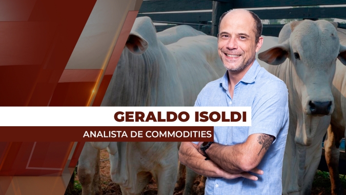 Cálculo da média do preço da @ do boi para dezembro na B3 começa nesta sexta-feira (20) devido a feriados