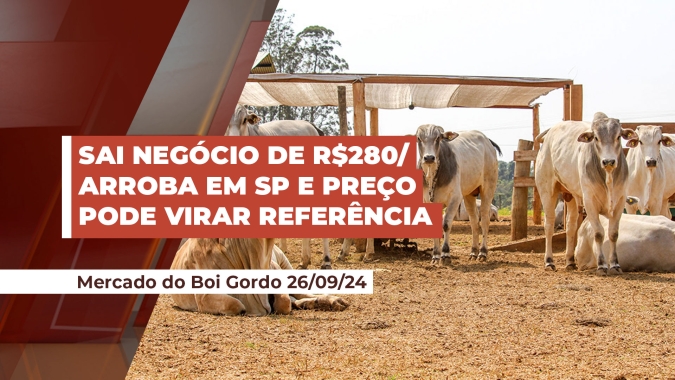 Boi de R$280 por arroba já é negociado em SP e preço pode virar referência se oferta de animais não aparecer