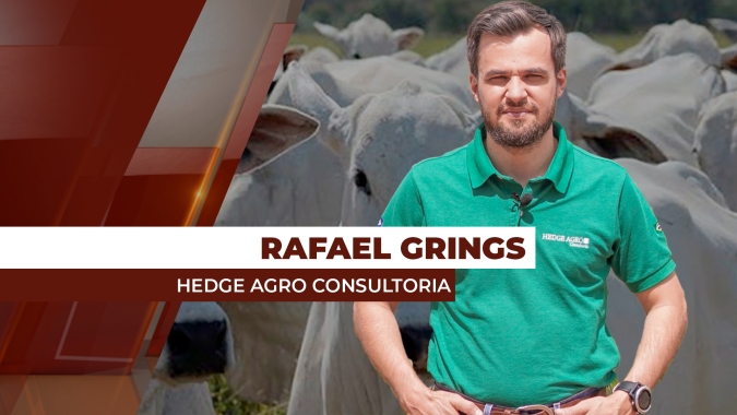 Com atenção ao mercado de reposição, consultor aponta busca de pecuaristas por bezerros, bois magros e até vacas