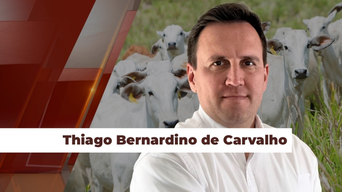 Acordo entre UE X Mercosul é visto como janela de oportunidades em relação a preços e novos cortes exportados de carne bovina