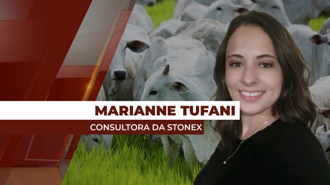Exportações devem ser o driver de escoamento para a carne bovina brasileira em 2025, segundo consultora