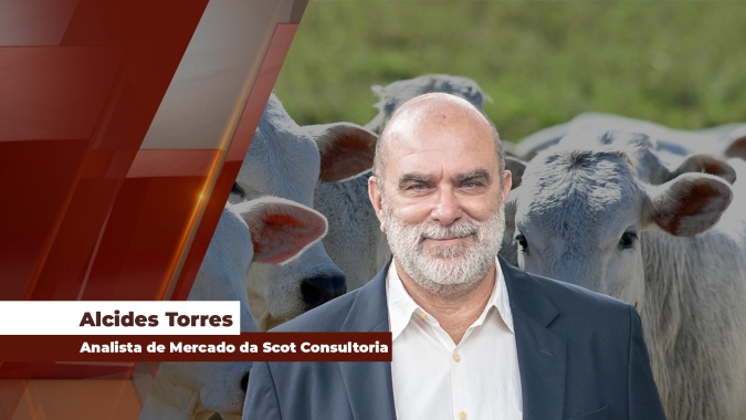 Apesar de vendas da carne mais fracas no fim do mês, preço da arroba do boi segue firme