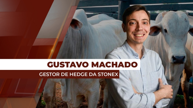 Mercado futuro do boi está mais pressionado do que o físico, exigindo comercialização mais detalhada pelo pecuarista