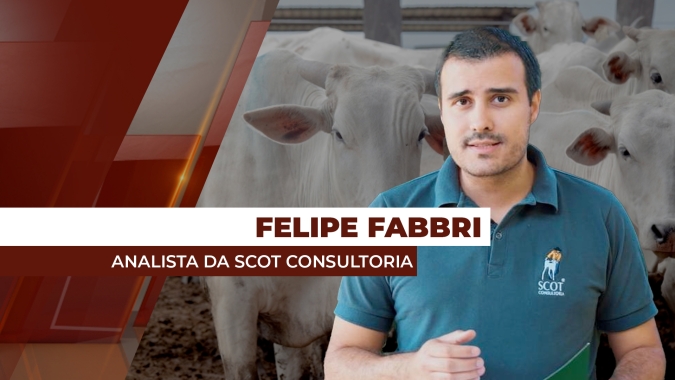 Preços da arroba do boi se sustentam com oferta controlada pelos pecuaristas