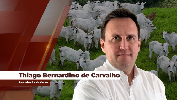 Mercado do boi gordo passa por momento 'avassalador' de altas e pecuarista tem de redobrar atenção sobre as margens