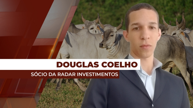 Fevereiro começa equilibrado para o mercado do boi, segundo especialista