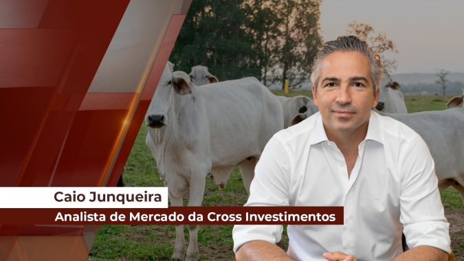 Carne no atacado sobe e já equivale a uma arroba de R$310 em SP; novas máximas vem de frigoríficos de mercado interno