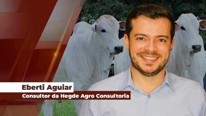 Com altas expressivas para a a arroba do boi, momento é de atenção aos custos de produção e margem na operação