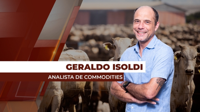 Sem demanda interna correspondendo, preços da arroba devem ter dificuldades para subir, diz analista