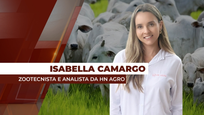 Para especialista, zerar a alíquota para importação de carne bovina não deve impactar o setor pecuário
