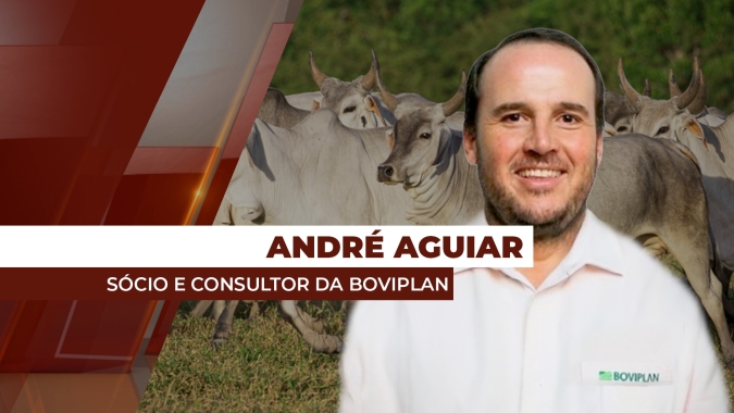Preços da arroba bovina seguem de lado com mercado interno travando setor