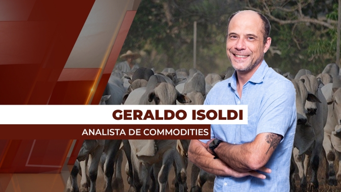 Arroba bovina vê recuperação paulatina em março, apesar de mercado apático