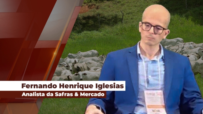 Preços da arroba continuam subindo e escalas permanecem bastante ajustadas no Brasil