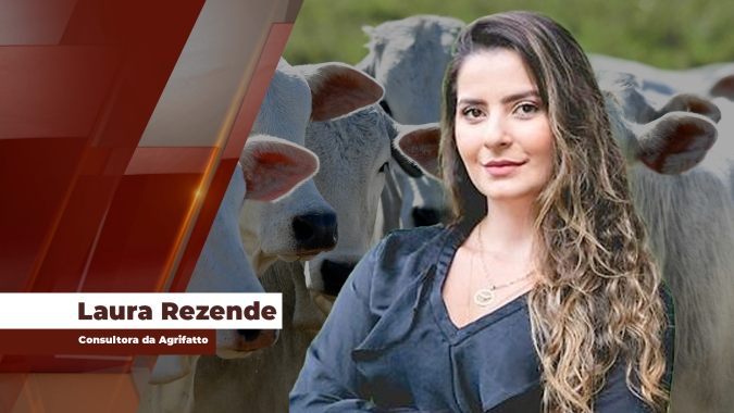 Mercado do boi já registra negócios pontuais de R$ 360 por arroba e segue reagindo à força da demanda