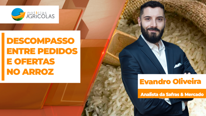 Mercado do arroz travado com produtores pedindo R$ 80,00 a saca e indústria oferecendo apenas R$ 68,00