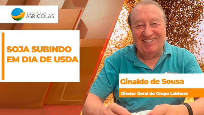 Soja tem boas altas em Chicago nesta 5ª feira, mesmo com USDA trazendo poucas novidades