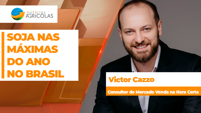 Preços da soja renovam máximas do ano no Brasil e produtor avança com negócios para safras velha e nova