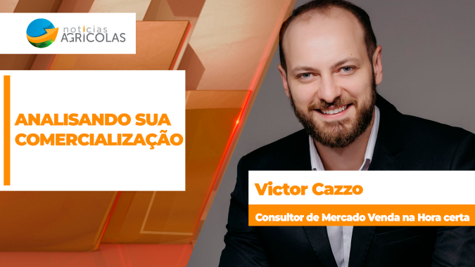 Analisando sua comercialização: Mercados estão em alerta e novas cotações exigem revisão de estratégias pelo produtor