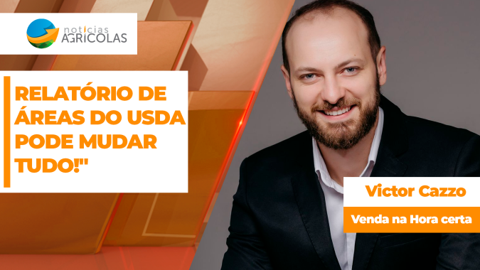 Analisando sua comercialização - "Relatório de Áreas do USDA pode mudar tudo!"