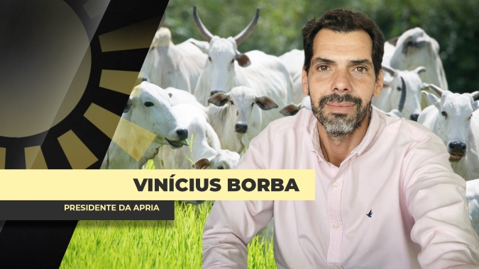 Com decisão judicial sobre "TAC da Carne", pecuaristas da Amazônia poderão voltar a negociar com os frigoríficos
