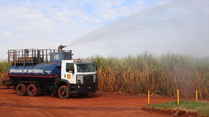 Orplana eleva estimativa de área de cana atingida por queimadas e vê perdas de R$500 mi