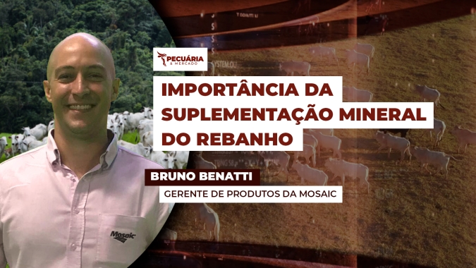 Suplementação mineral para potencializar sanidade, desenvolvimento e sustentabilidade do rebanho