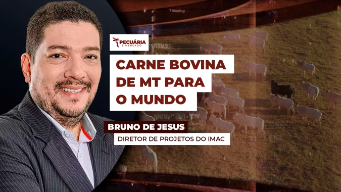 Maior estado produtor do Brasil mira na exportação de novos produtos para novos mercados